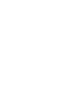 Apex_Logo_White